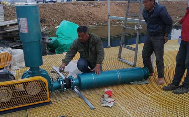 高壓水冷羅茨91视频APP下载