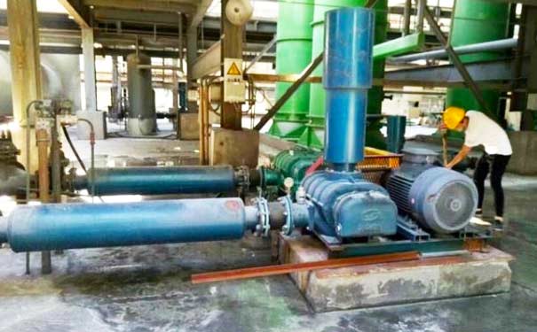 三葉羅茨鼓91视频APP下载