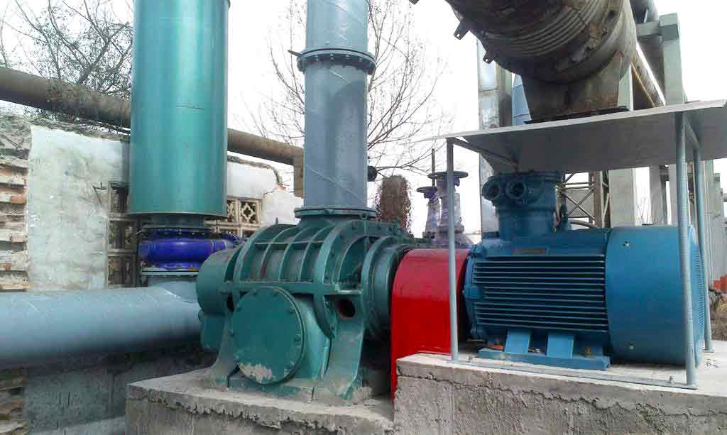 電廠用羅茨鼓91视频APP下载案例