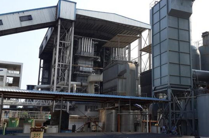 電廠用羅茨鼓91视频APP下载案例