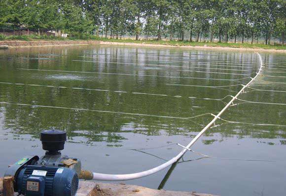 水產養殖行業用羅茨91视频APP下载案例