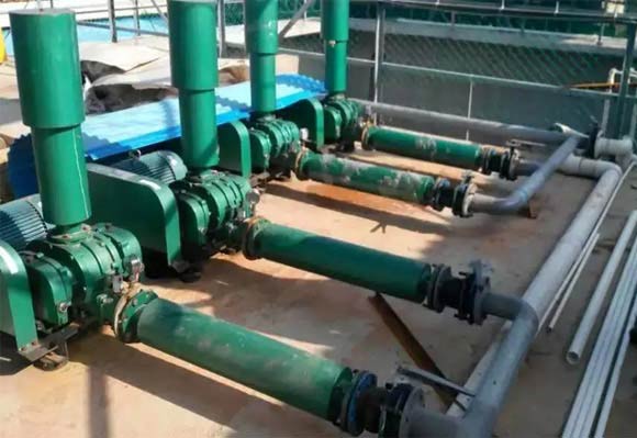 汙水處理用三葉羅茨鼓91视频APP下载案例