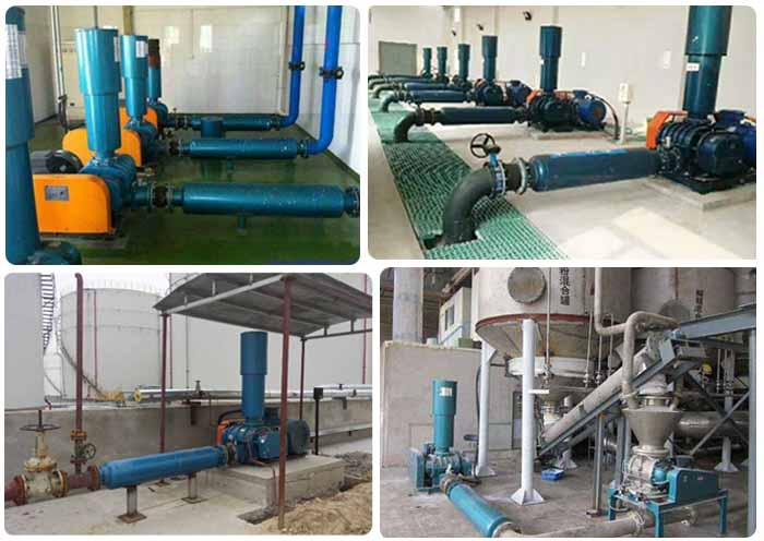 皮帶傳動羅茨91视频APP下载案例