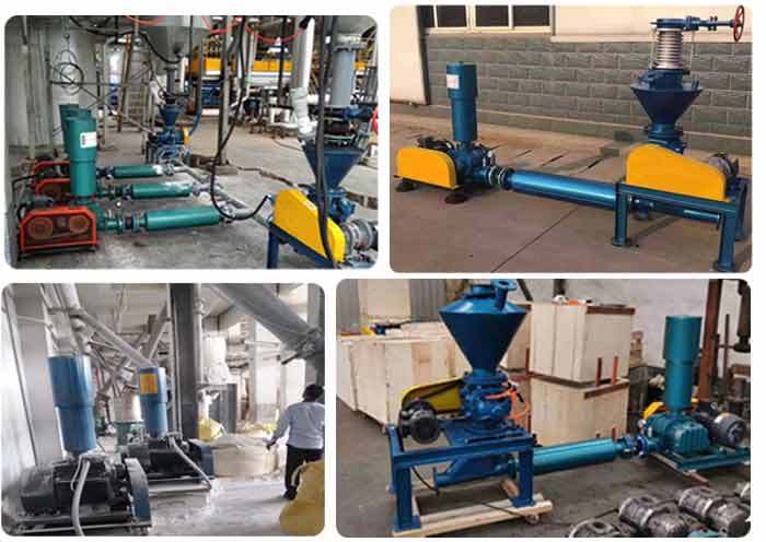 皮帶傳送型羅茨91视频APP下载案例