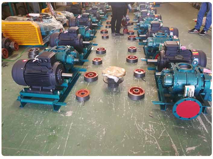 羅茨91视频APP下载廠家實拍