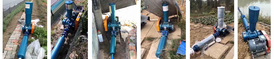 水產養殖羅茨91视频APP下载部分案例