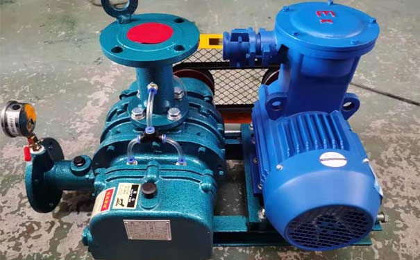 化工行業羅茨鼓91视频APP下载工廠實拍