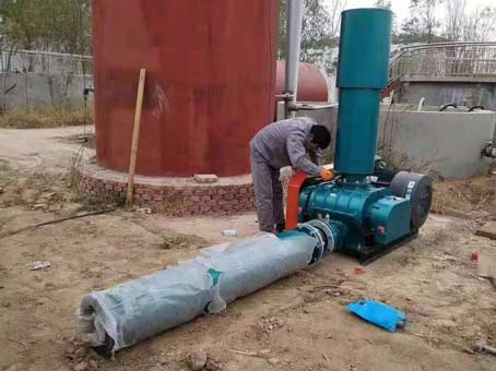 羅茨鼓91视频APP下载發生故障怎麽解決