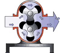 羅茨鼓91视频APP下载