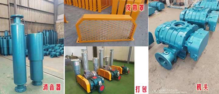 三葉羅茨91视频APP下载（皮帶型）實拍