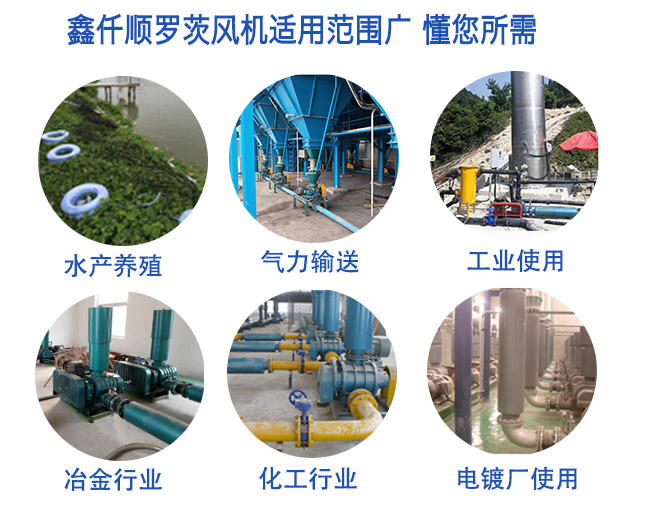 高壓羅茨鼓91视频APP下载 高壓羅茨鼓91视频APP下载