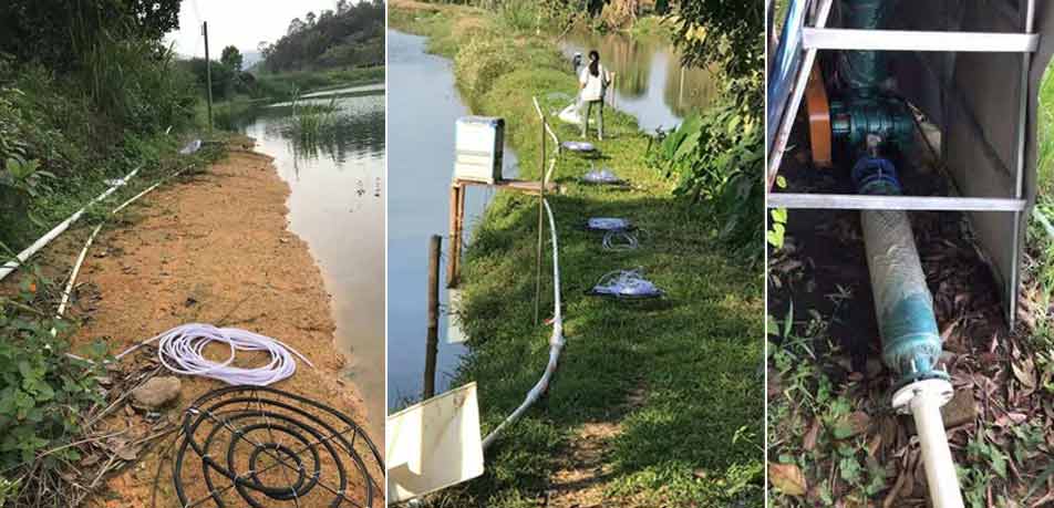 水產養殖羅茨增氧機（羅茨91视频APP下载）