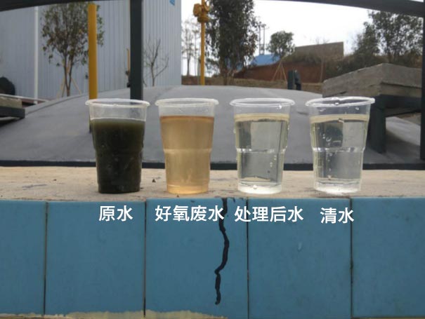 汙水曝氣羅茨鼓91视频APP下载應用案例