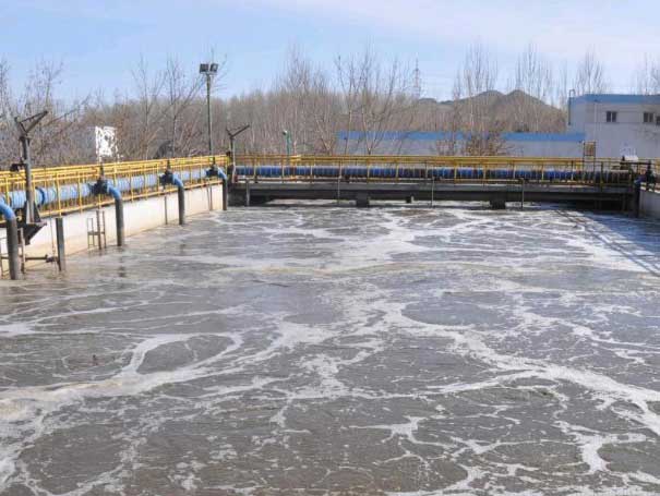 羅茨91视频APP下载汙水處理案例