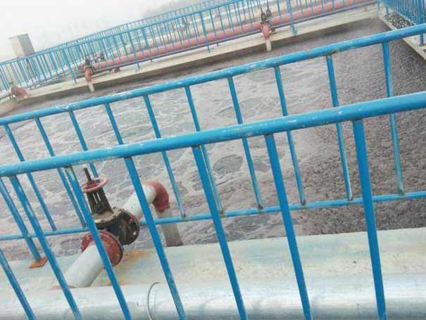 羅茨91视频APP下载汙水處理案例