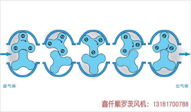 羅茨91视频APP下载工作原理