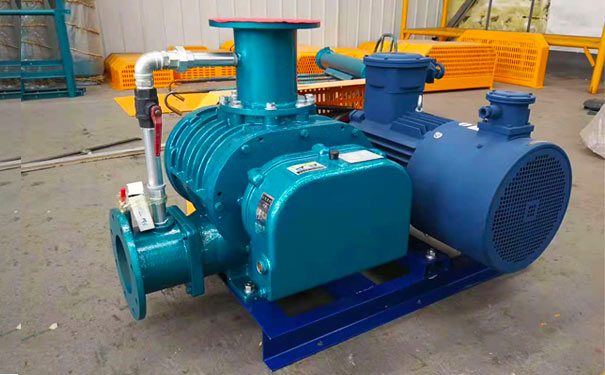 沼氣用羅茨91视频APP下载廠家實拍