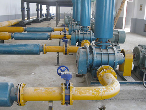 沼氣輸送羅茨91视频APP下载 化工行業用羅茨91视频APP下载沼氣輸送案例(圖1)