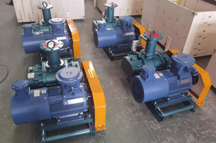 沼氣輸送羅茨91视频APP下载 化工行業用羅茨91视频APP下载沼氣輸送案例(圖2)