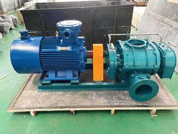 直連式羅茨91视频APP下载-直連傳動式三葉羅茨鼓91视频APP下载工廠實拍圖 直連傳動式三葉羅茨鼓91视频APP下载(圖7)