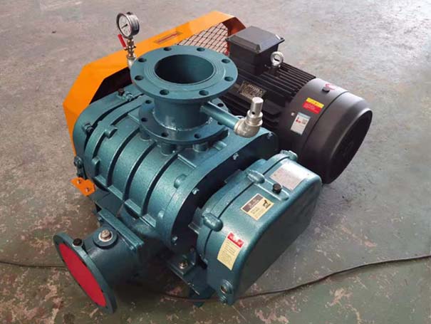 羅茨91视频APP下载廠家發貨江西羅茨真空泵XQSSR125v5台(圖1)