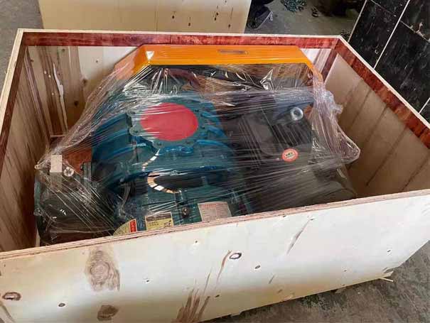 發貨吉林羅茨鼓91视频APP下载XQSSR150V1台(圖1)