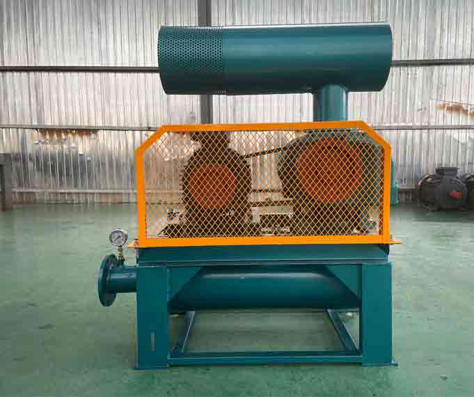 羅茨91视频APP下载廠家發貨雲南91视频聊天网XQSSR120L羅茨真空泵(圖1)